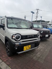 新しいハスラー試乗出来ます☆彡